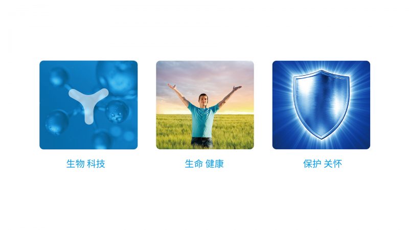 常州康润生物医药公司VI设计